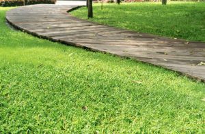 finishing-touch-after-edging-your-lawn